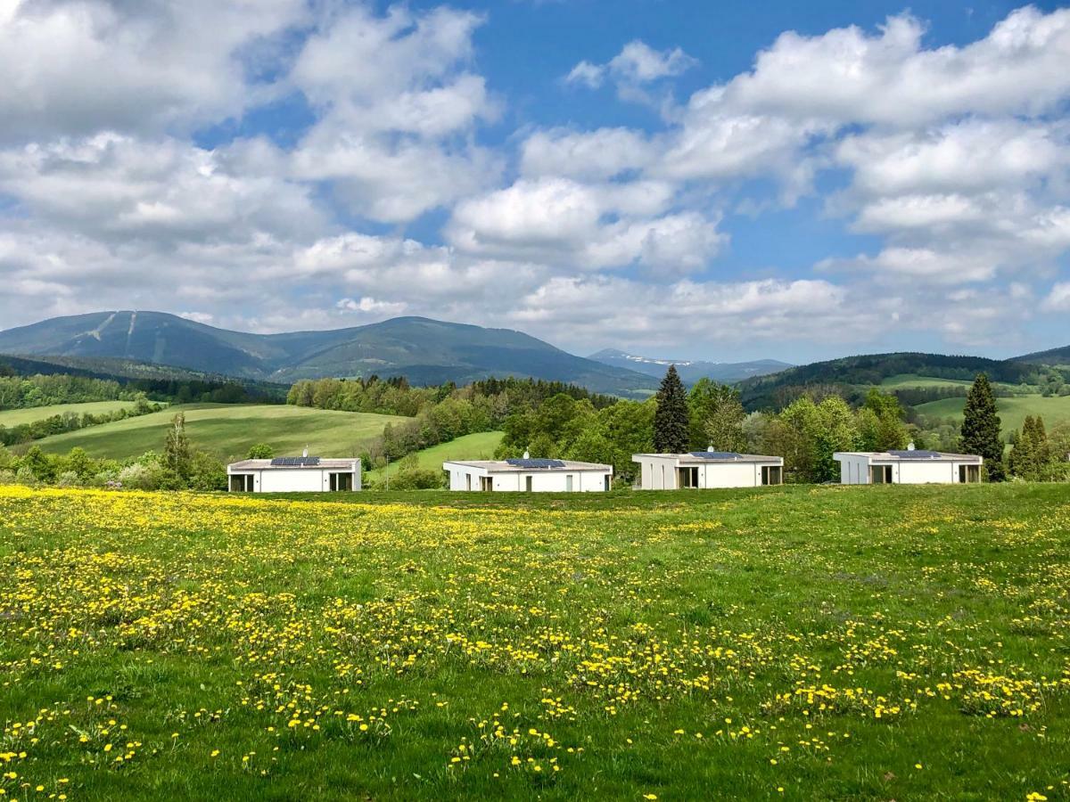 Apartmany Hradecek Mladé Buky Buitenkant foto